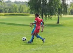 内马尔回归,家乡球队,承诺终身效,007球探足球比分,007球探体育即时比分,007球探体育比分网,比分直播